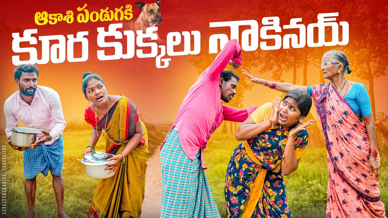 ఆకాశి పండుగకి కూర కుక్కలు నాకినయ్||పండుగ రోజు ఎమ్ అయినది🥲||my village comedy||dhoom dhaam channel