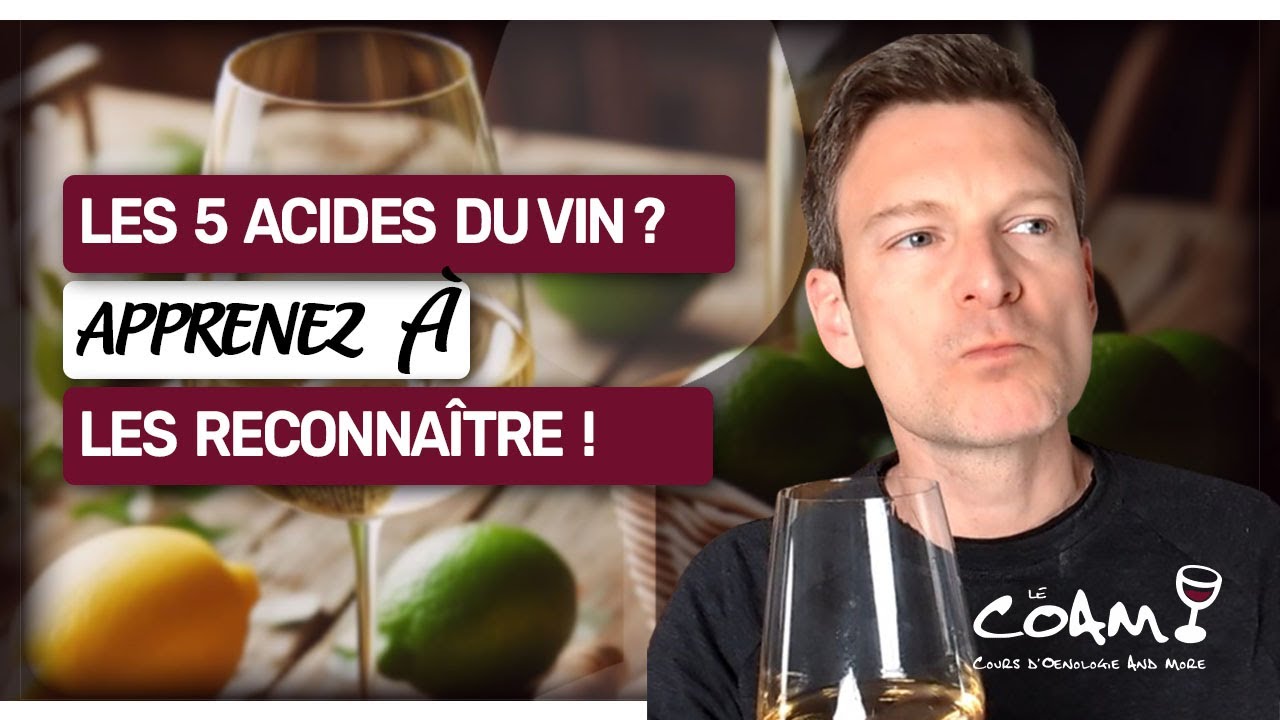 Dégustation : Apprenez à RECONNAÎTRE facilement les 5 ACIDES du vin🍇