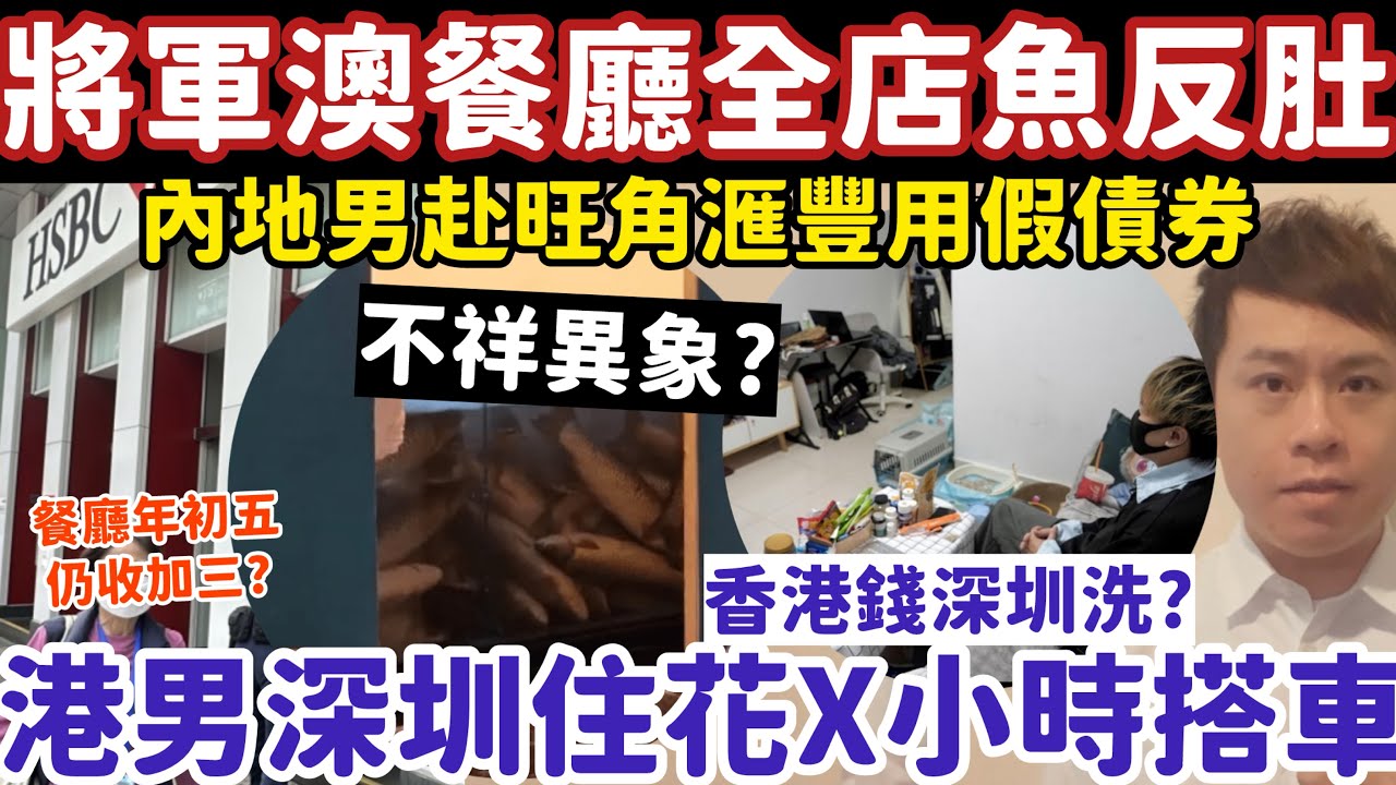 不祥異象？將軍澳新餐廳全店鮮魚反肚亡？港男住深圳每日X小時搭車？13-2-2026