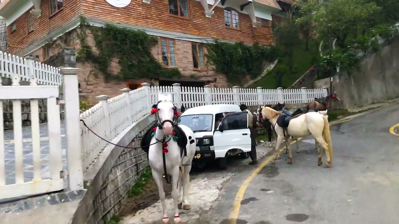 On way to Green Retreat Hotel NATHIA GALI on Prado