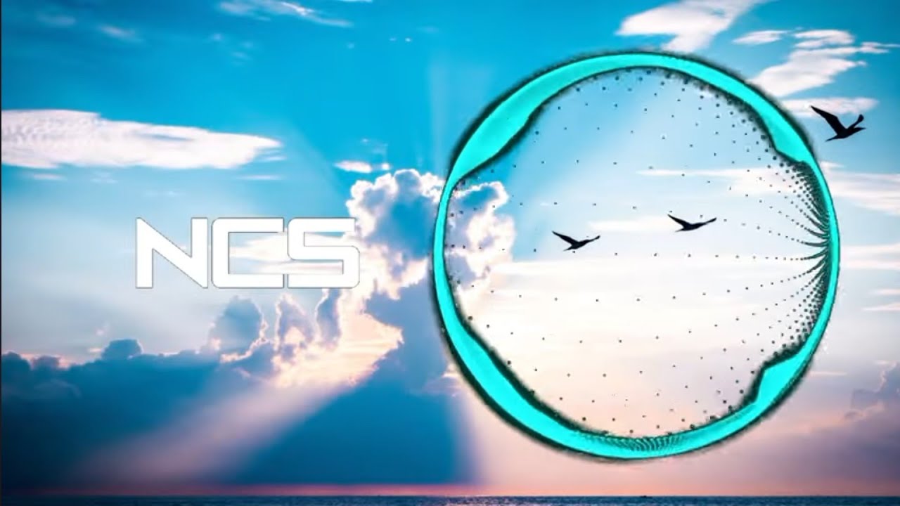 DM Galaxy - Paralyzed (ft.Tyler Fiore) [Disfigure Remix] [NCS Remake]