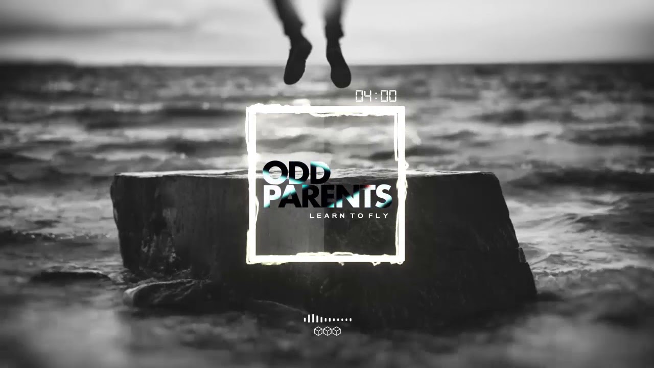 Odd Parents - Learn To Fly (Maceo's Flight Home)