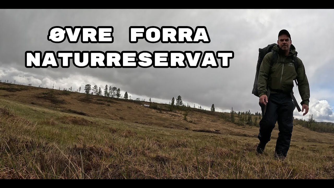 Øvre Forra naturreservat