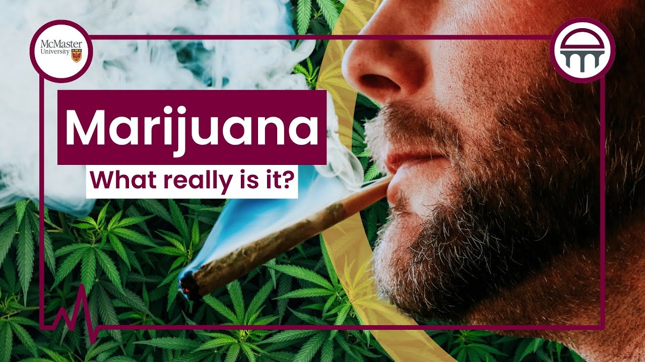 What is Marijuana?