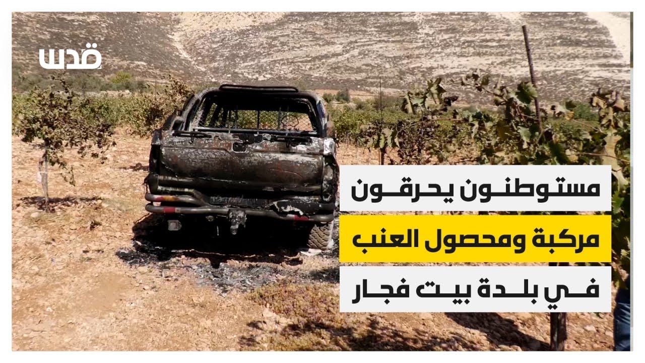 مستوطنون يحرقون مركبة ومحصول العنب في بلدة بيت فجار 