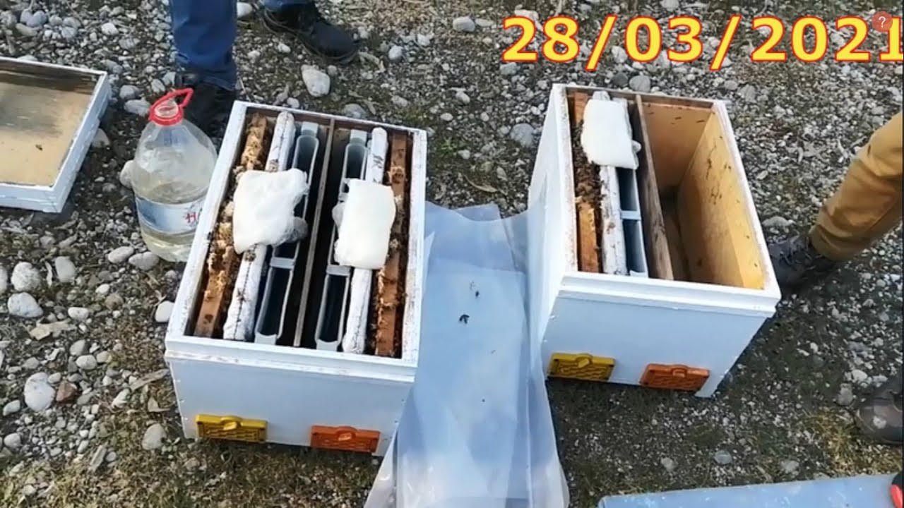 Neden ana yüzüğü yaptı. 4 çıtalı kovandan 3 bölme yaptık.  beekeeping. Arıçılıq