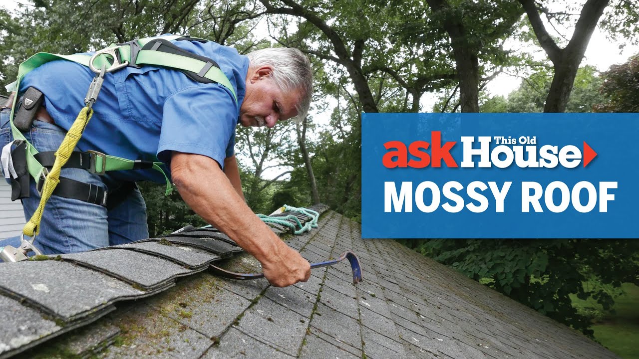 Как очистить крышу от мха и предотвратить его появление | Ask This Old House
