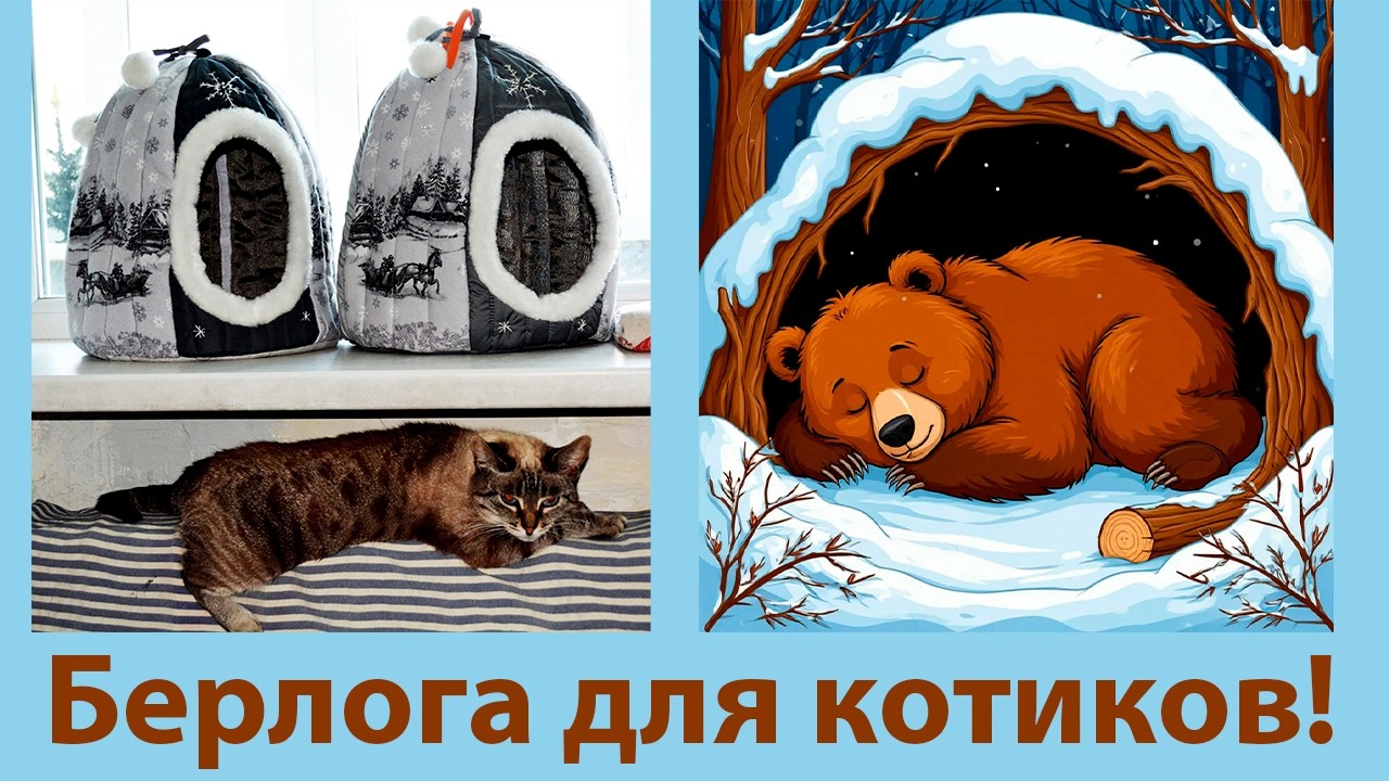 Как зимуют кошки!