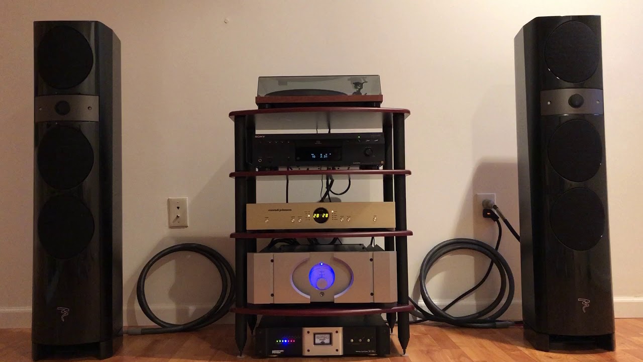Focal Electra 1028BE - Lệ Quyên với tác phẩm 