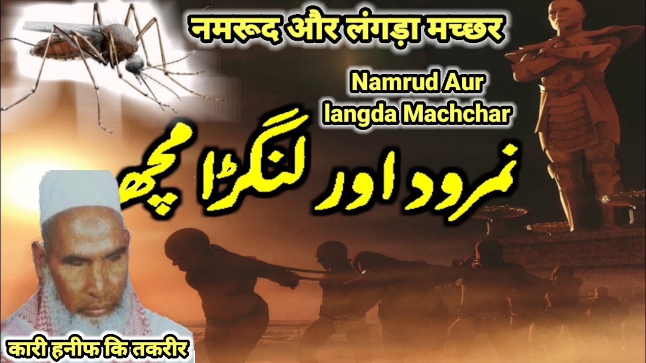 Namrood Aur Landa Machchar ka wakiya । नमरूद और लंगड़ा मच्छर का वाकिया । by qari Haneef multani