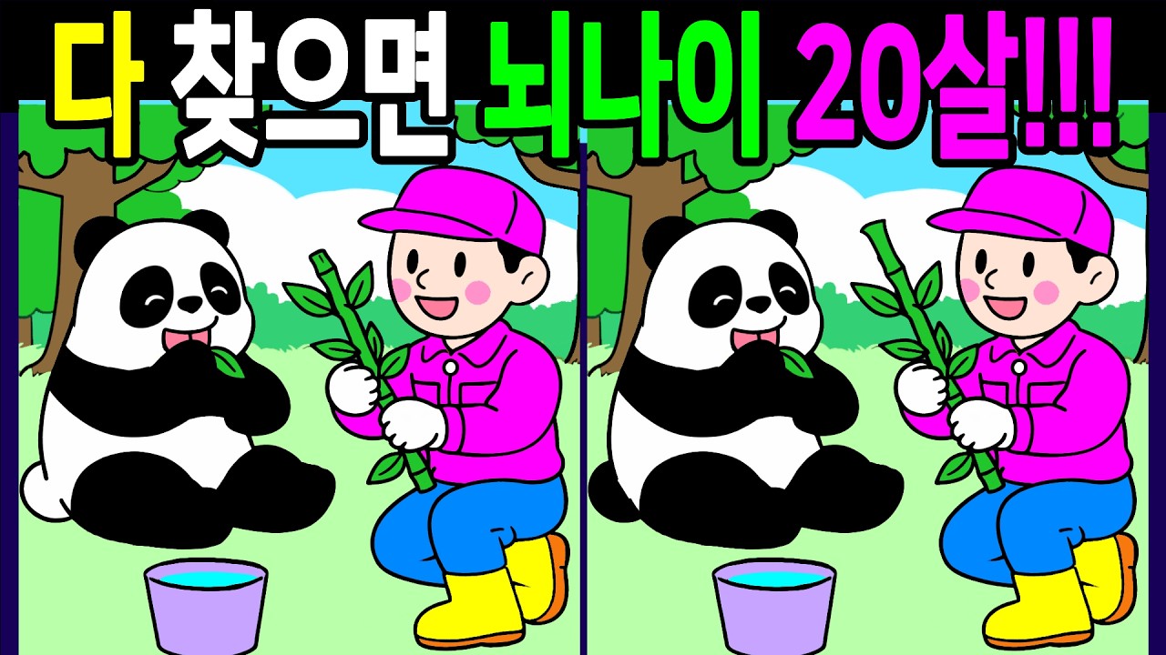 천재들도 헷갈리는 문제! 다찾으면 건강한 두뇌나이 20살! 30분 복습문제! 온가족이 함께 끝까지 풀게돼요【 Find Difference 間違い探し】