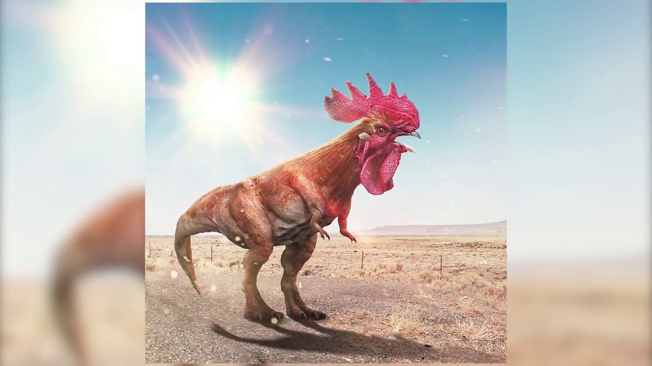 Fotomanipulación de dos animales / animal imposible / SpeedArt Photoshop 2020