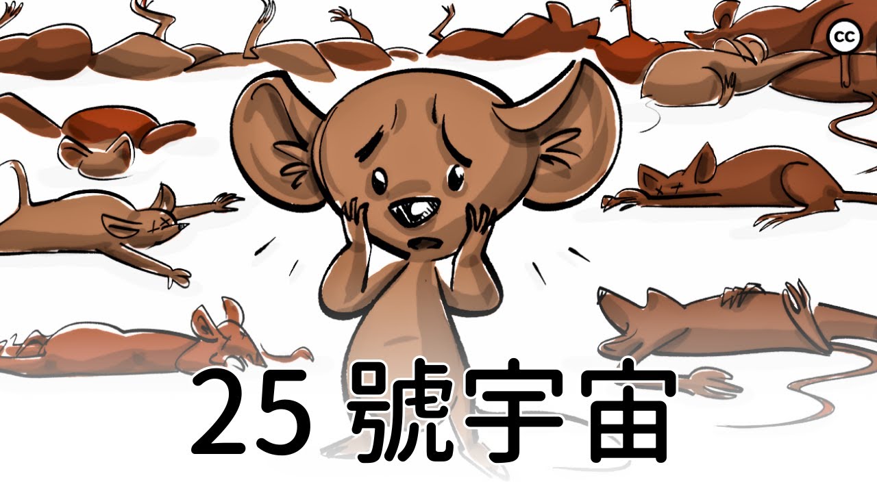 25 號宇宙老鼠實驗