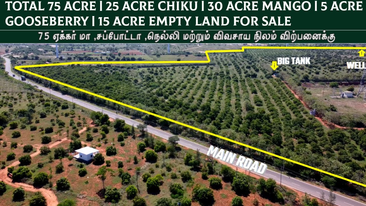 15 lakhs(negotiable)|Total 75 Acre |30 Acre Mango Trees|5 Acre Gooseberry|15 Acre Agri Land for Sale
