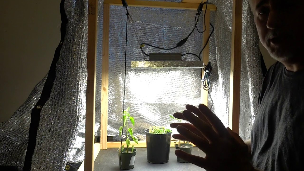 MARS HYDRO TS 1000W Led Grow Light Kit