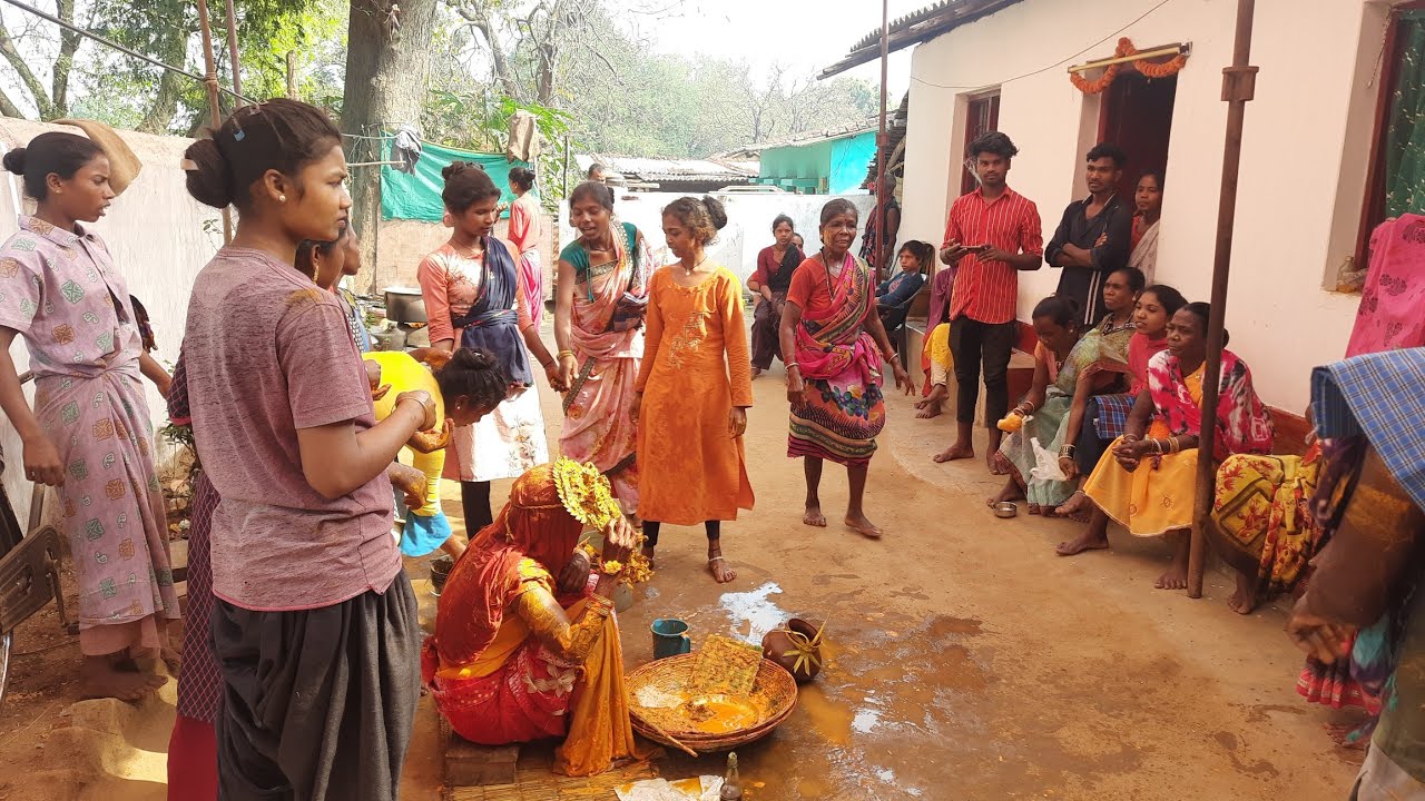 यह परंपरा अब बस्तर में ही जिंदा है || शादी हल्दी रसम बस्तरिया अंदाज Bastar Tribal vivah ||saadi