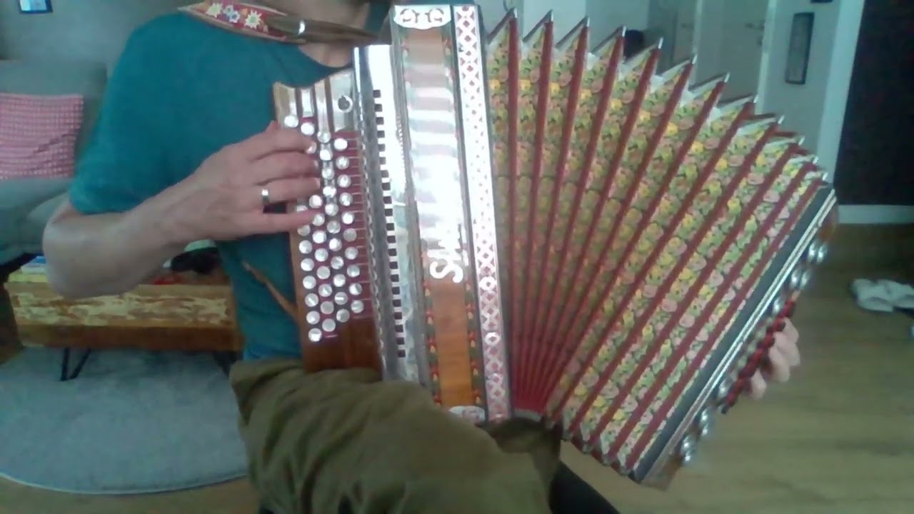 Für mein Vota - Steirische Harmonika #steirischeharmonika #steirische #volksmusik #eigenkomposition