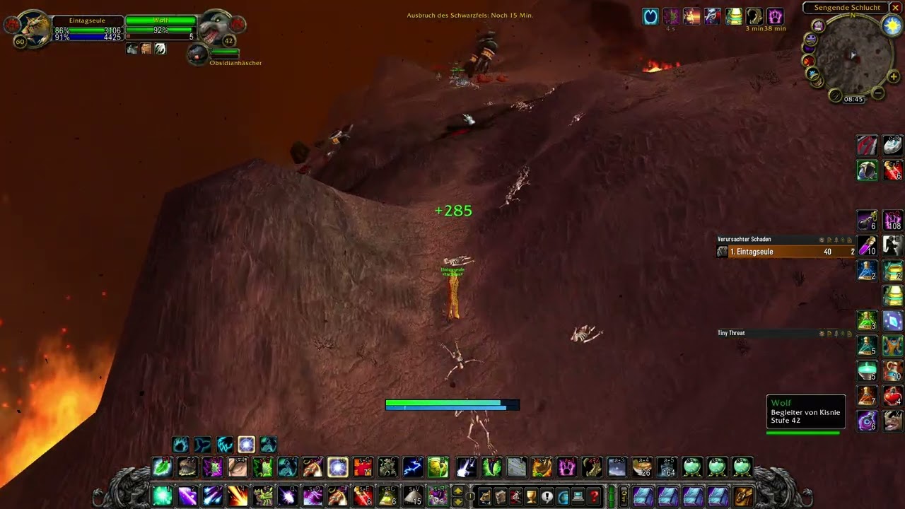 BOT ALARM! So viele FlyHack Bots gab es in Classic WoW noch nie. Blizzard hat offiziell aufgegeben!