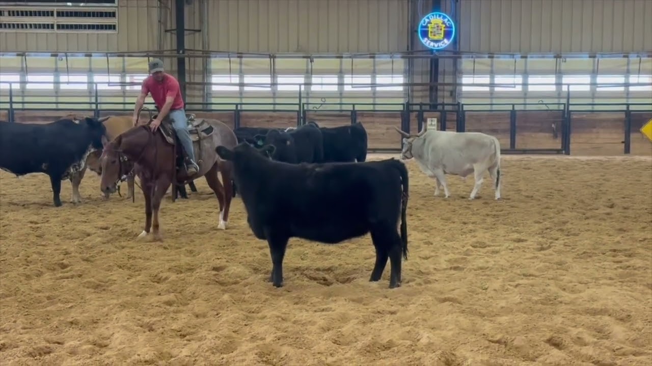 Reyzin High Brows - hip 80 Triangle sale Jan. 22nd in OKC 
