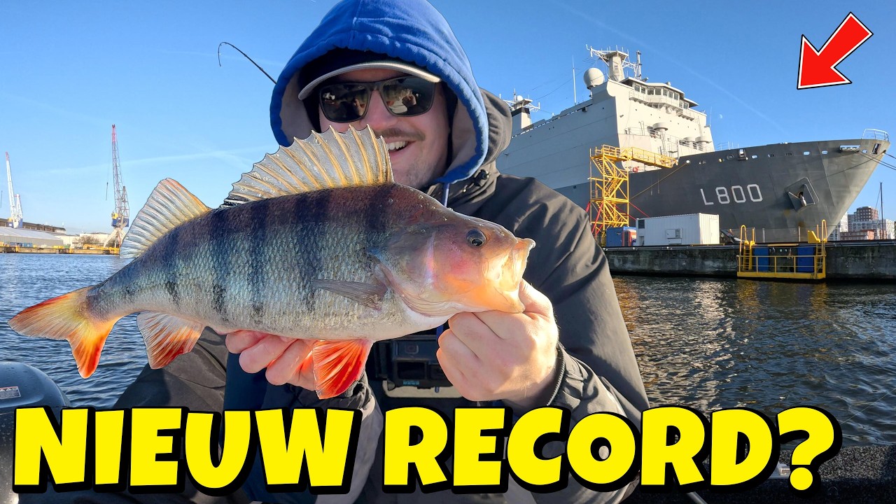 Will I catch my RECORD PERCH near this navy ship? - Perch fishing with fishing guide Tom!