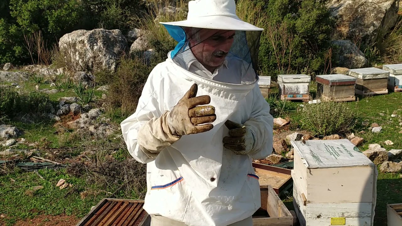 Arılarda Stok Beslemesi (Bal Hasadı sonrası)