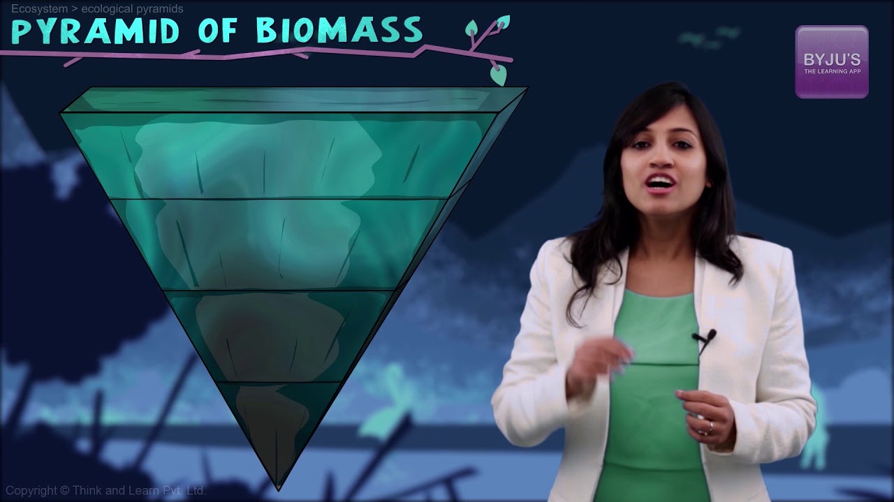 Ecosystem Class 12 Biology: Pyramid of Biomass (Ch-14) | NEET 2022 Exam Prep | BYJU'S NEET