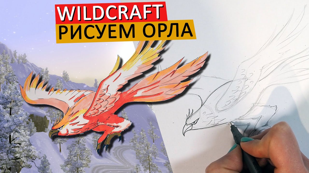 КАК НАРИСОВАТЬ ОРЛА, в стиле WILDCRAFT, легко
