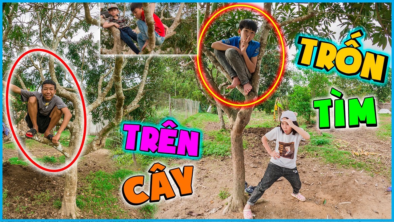 Thái Chuối | Thử Thách Trốn Tìm Trên Cây - Tuổi Thơ Dữ Dội