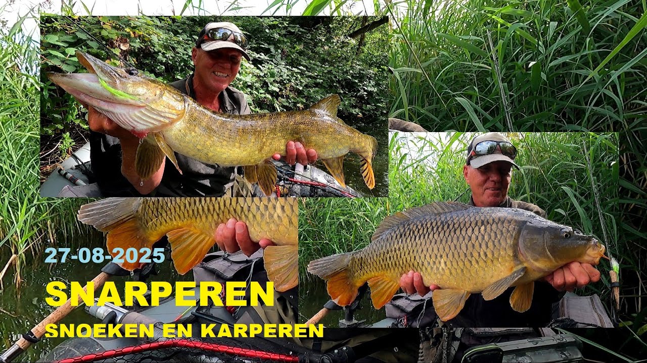 27 08 2025 SNARPEREN karperen en snoeken in één sessie