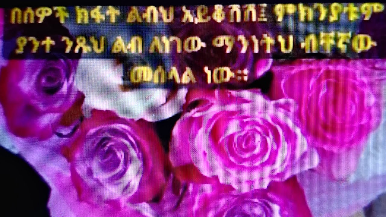 sumaya  ቤተሰብ አመሻቹ