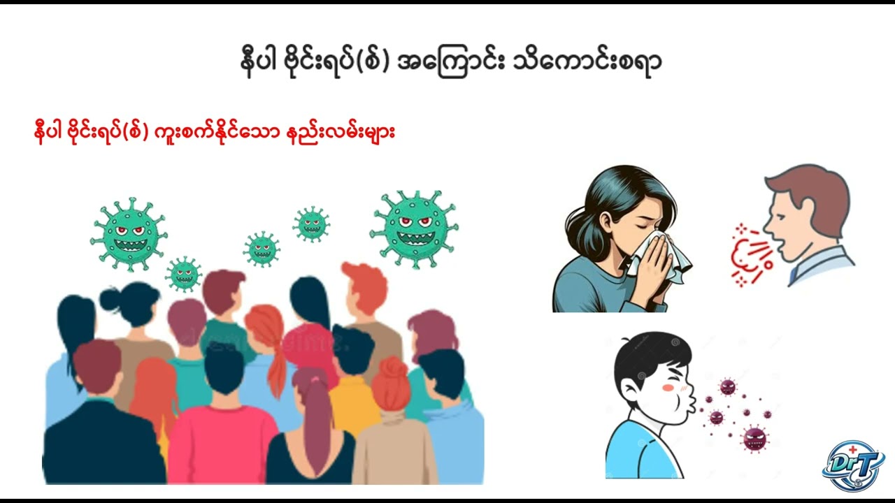 နီပါ ဗိုင်းရပ်(စ်) (Nipah Virus)အကြောင်း သိကောင်းစရာ