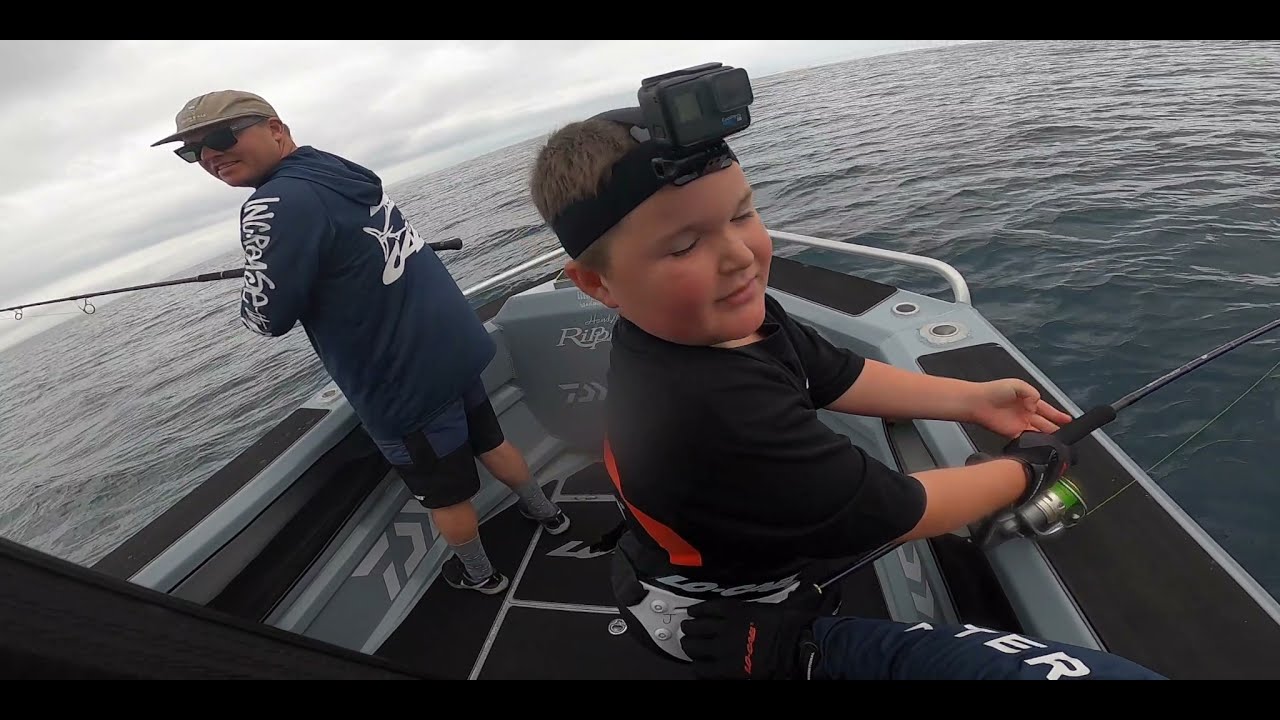 Mayor island topwater kingfish.