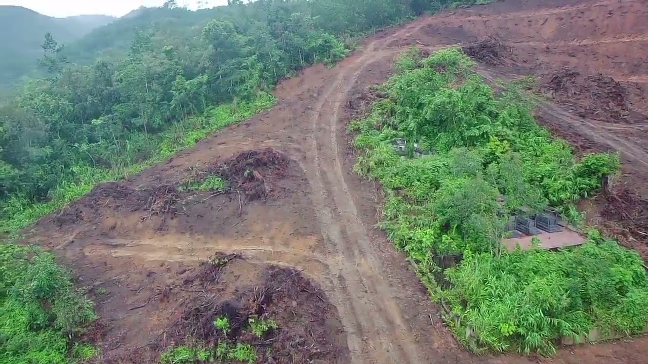 F11S huyền thoại 