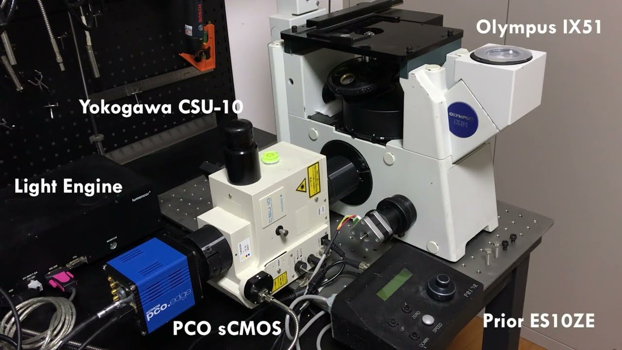Spinning Disk Confocal Microscope-Complete system & Objective lens comparison