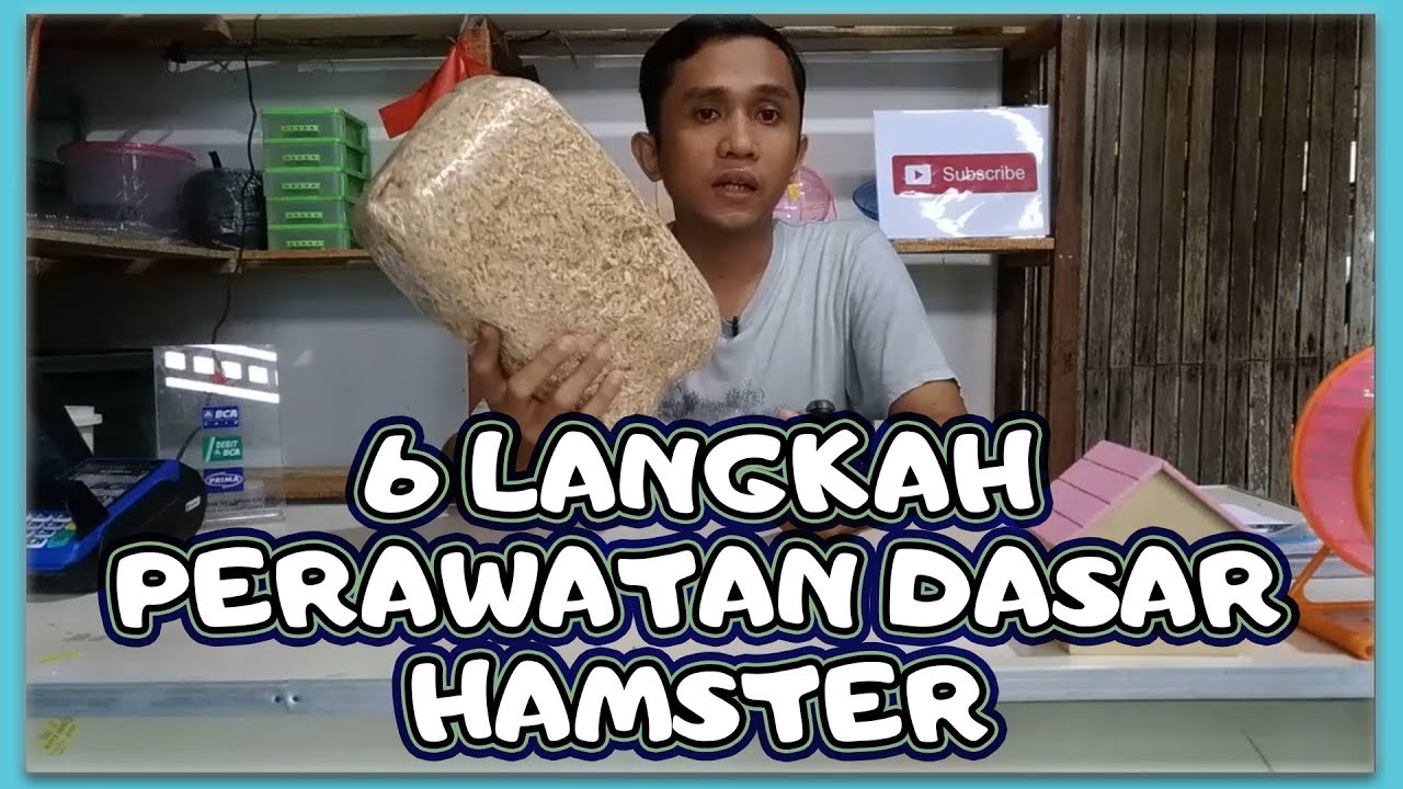 6 Tips Perawatan Hamster Yang Umum