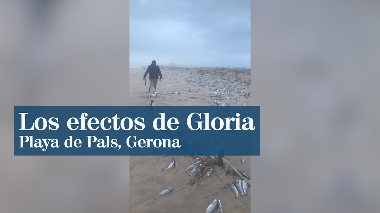 As&iacute; ha quedado la playa de Pals, Gerona, tras el paso del temporal Gloria