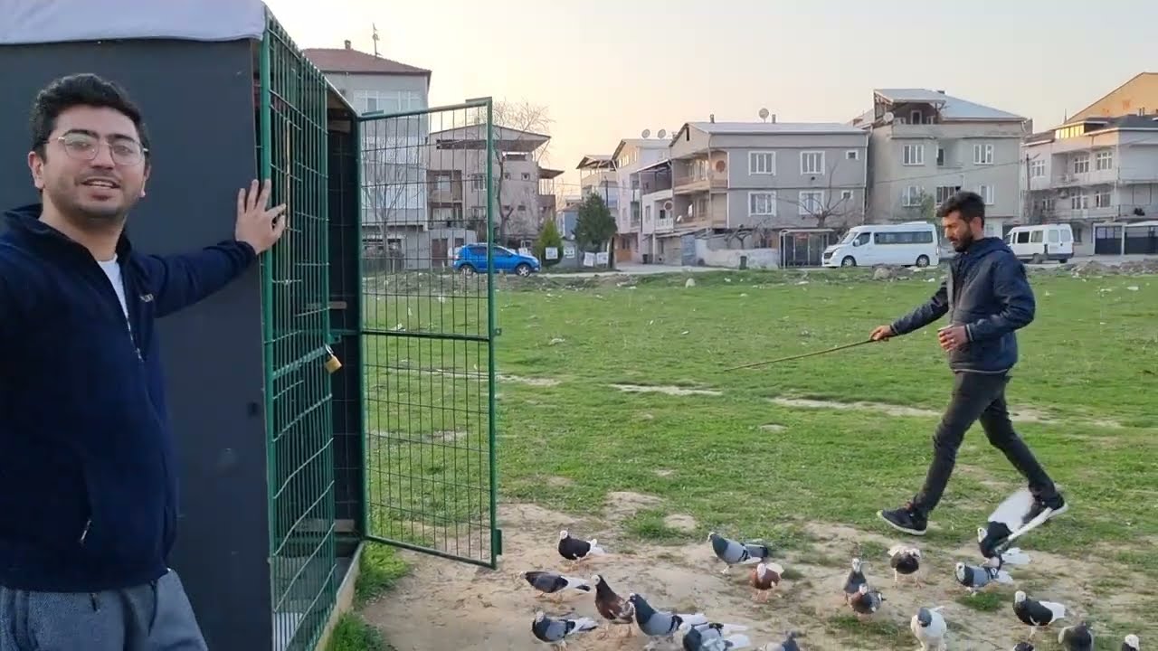 OZAN & SEDAT SAĞLAM DÖNEK GÜVERCİNLERİ DAHA ACEMİYİZ DEDİLER KUŞLARI USTALARA TAŞ ÇIKARIR DÖNÜŞLERLE
