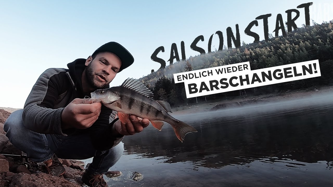 Saisonstart im Schwarzwald mit Barsch und BaFo - BARSCHCRU light