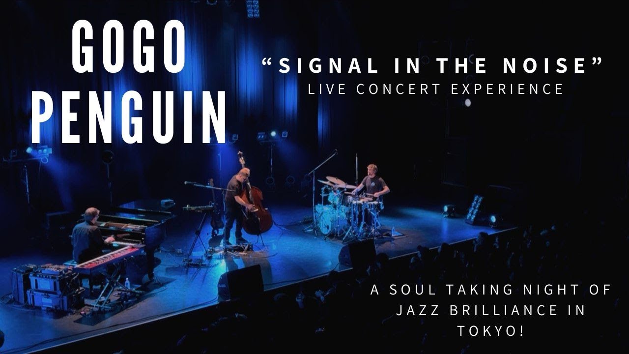 Gogo Penguin - Signal in the Noise | Live Concert Spectacular in Tokyo, Japan #gogopenguin #concerts