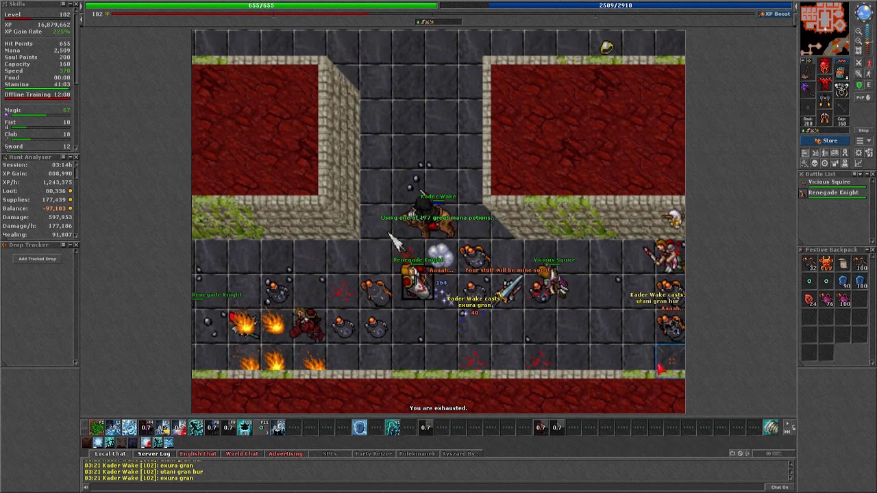 Elder Druid 100 lvl solo hero cave 1.6kk exp Tibia Antica.