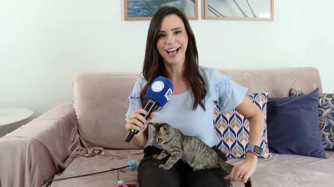 Câmeras flagram gatinha sendo arremessada de carro em Belo Horizonte
