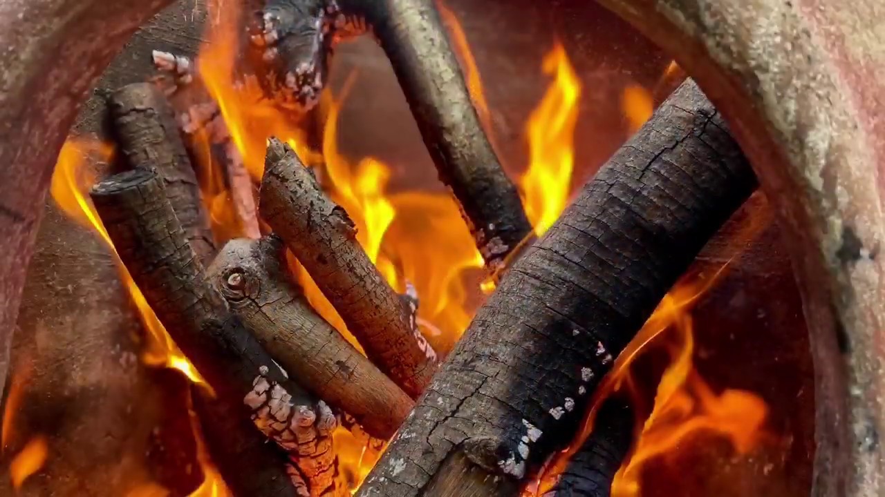 【20103】木炭和草木灰怎么做，制作过程，家庭版 //静姐说花303