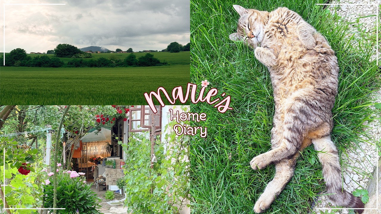 #102 💕 | Late spring in Bulgaria | Memory-keeping in my travel journal & new stationery