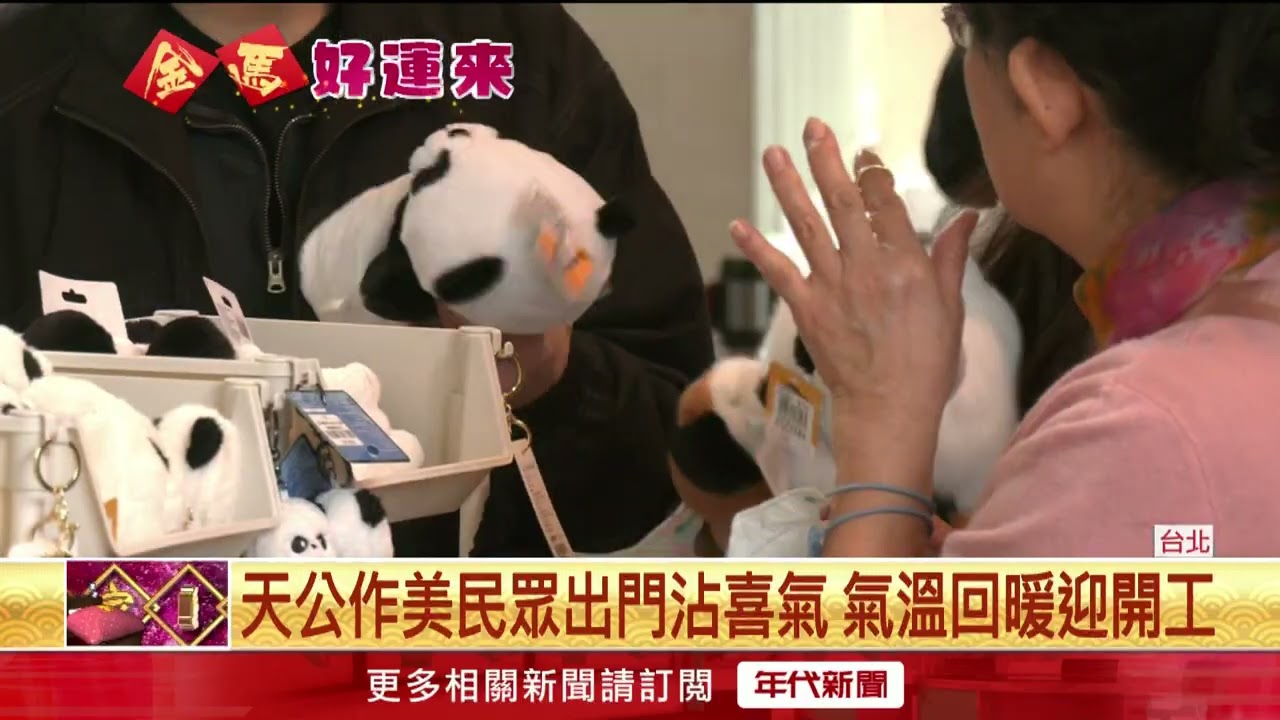 大年初三走春！ 木柵動物園湧人潮　搶看頂流熊貓