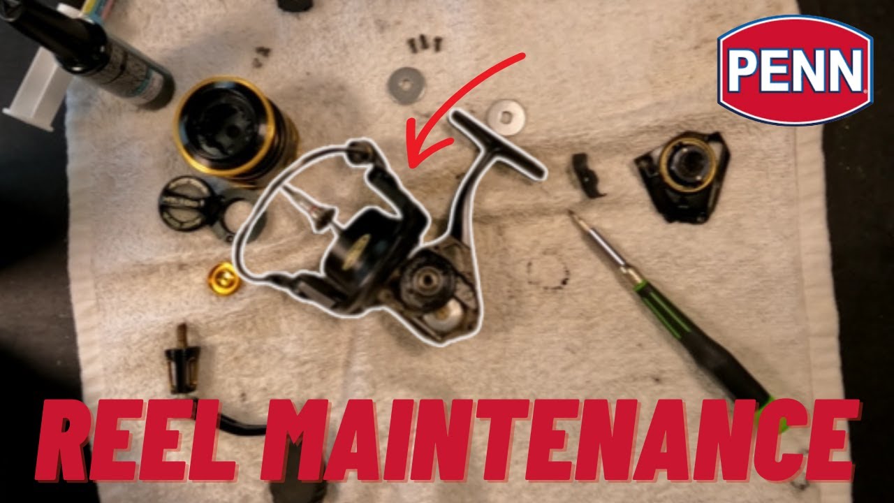 Penn Clash 3k Clean Lube Drag Washers Fishing REEL Maintenance