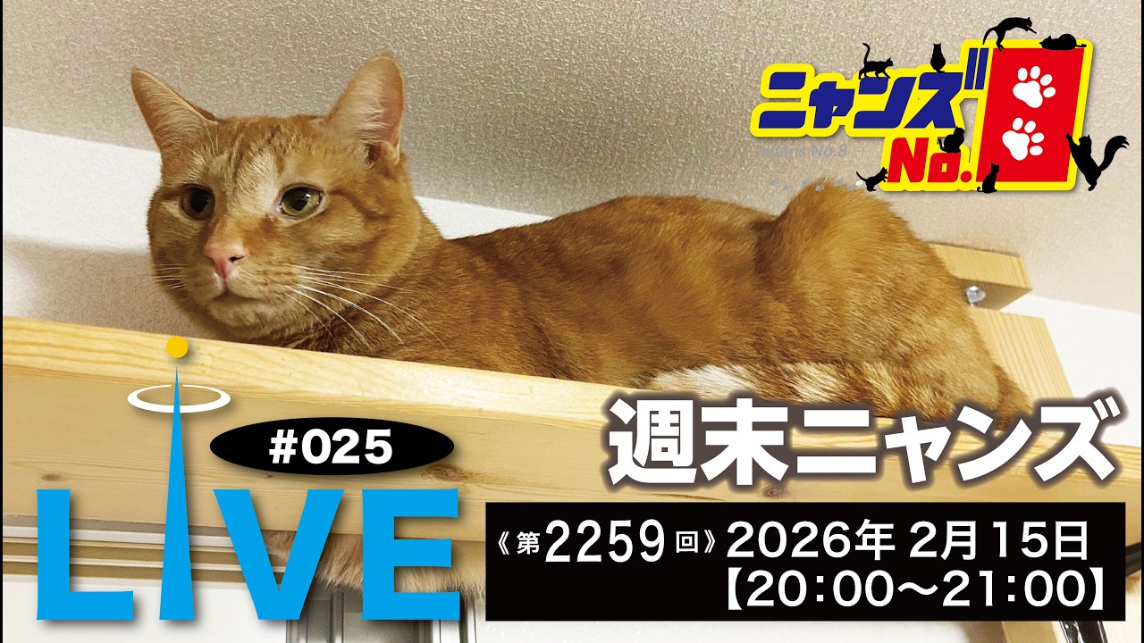《第2259回》LIVE#025　猫多頭飼い 週末ニャンズ　ライブ