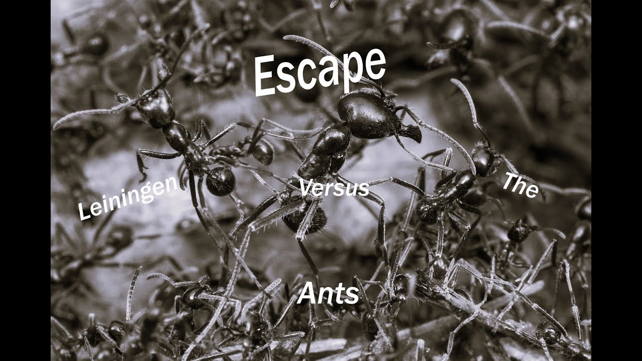OTR Escape Leiningen vs the ants 1948
