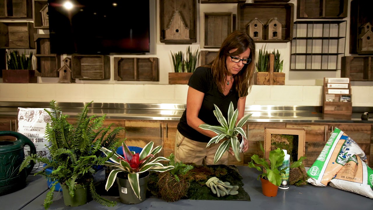 How to Make a Kokedama with Kathleen