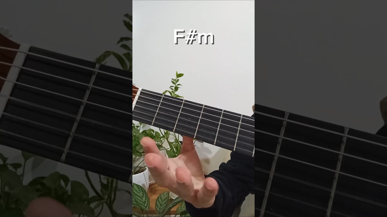 Guitar lessons for beginners (F#m chord)🎸🎶 #guitar #chord