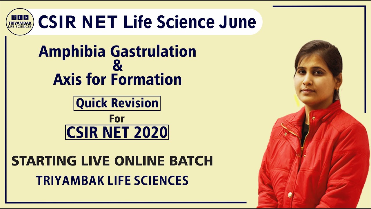 𝗔𝗺𝗽𝗵𝗶𝗯𝗶𝗮 𝗚𝗮𝘀𝘁𝗿𝘂𝗹𝗮𝘁𝗶𝗼𝗻 𝗮𝗻𝗱 𝗔𝘅𝗶𝘀 𝗳𝗼𝗿𝗺𝗮𝘁𝗶𝗼𝗻